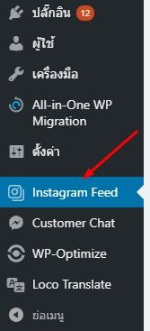 ติดตั้ง Plugins instagram feed